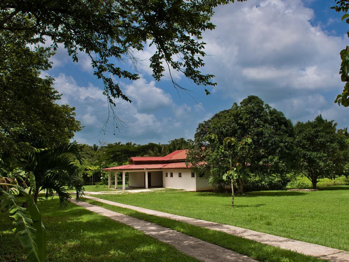 Rock Farm Guest House Camelote Exterior foto