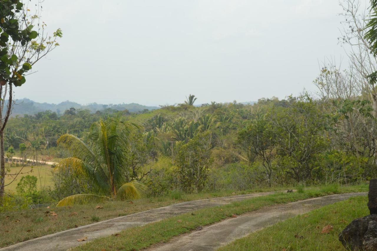 Rock Farm Guest House Camelote Exterior foto